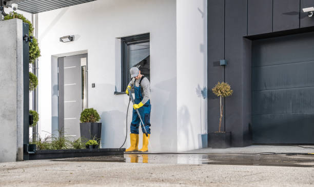 Best Graffiti Removal  in Charlotte Harbor, FL